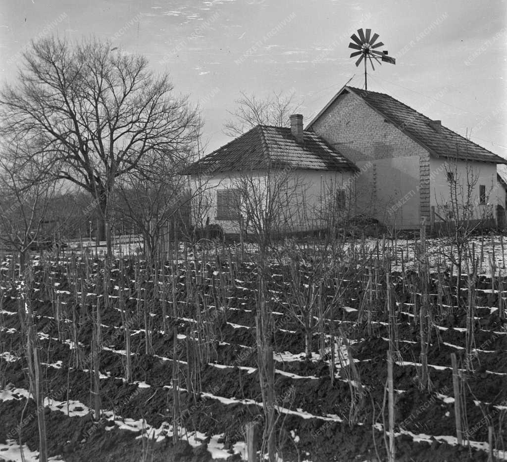 Nincs felirat, Nincs 10-es kocka