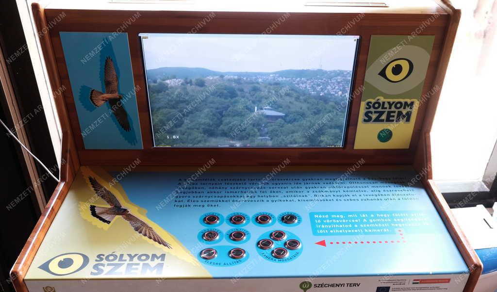 Természetvédelem - Budapest - Sas-hegy tanösvény