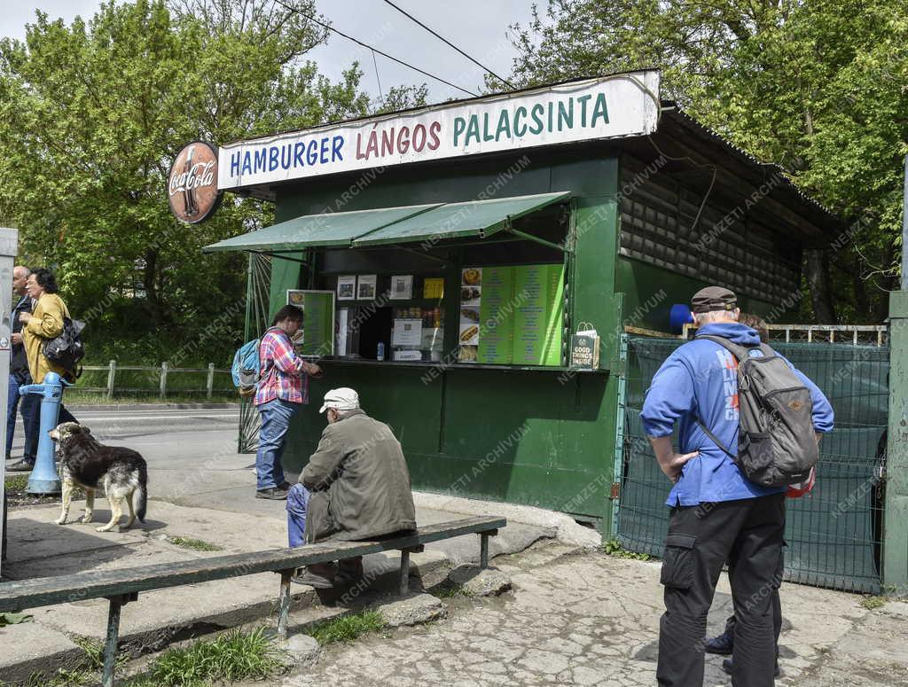 Természet - Szabadidő - Pilisi parkerdő Hűvösvölgynél