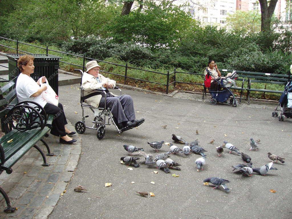 New York - Central Park