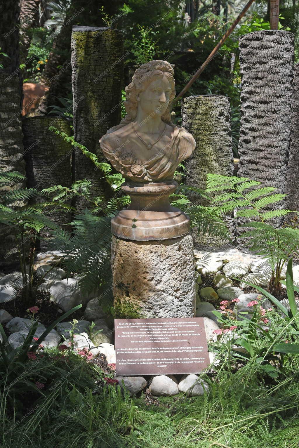 Természet - Elche - Pálmakert