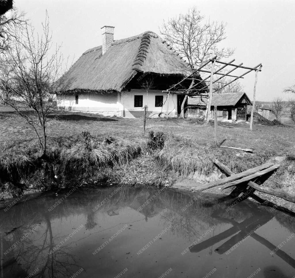 Természet-környezet - Őrségi porták