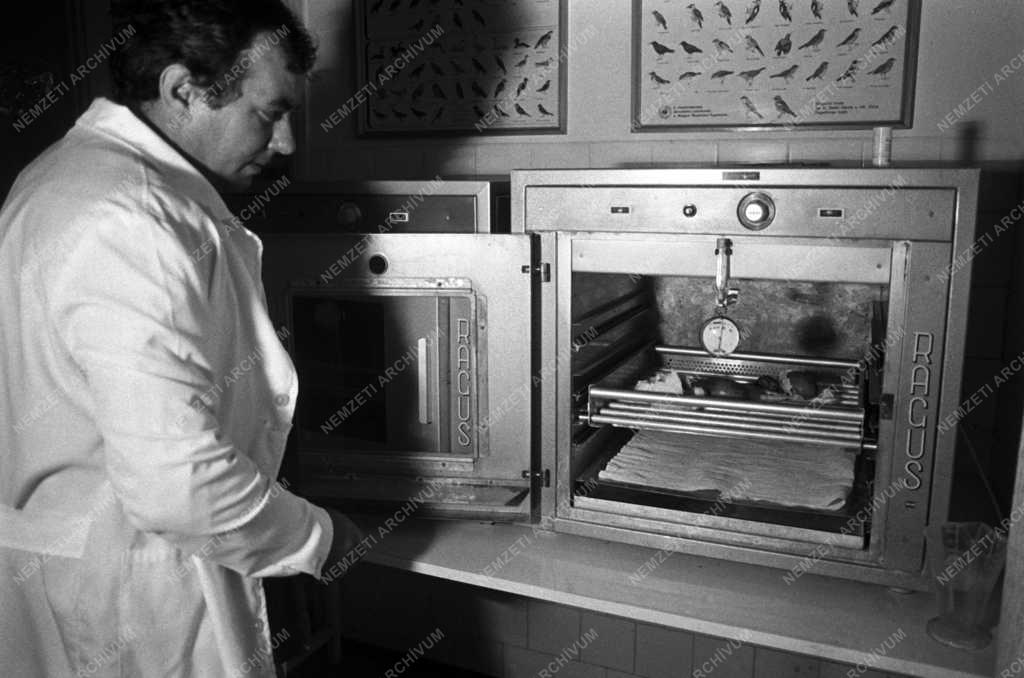 Környezetvédelem - Állatvédelem - Túzokrezervátum Dévaványán