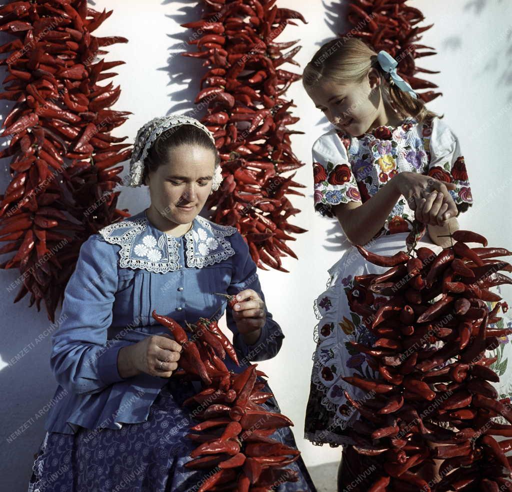 Hungarikum - Élelmiszeripar - Kalocsai paprika