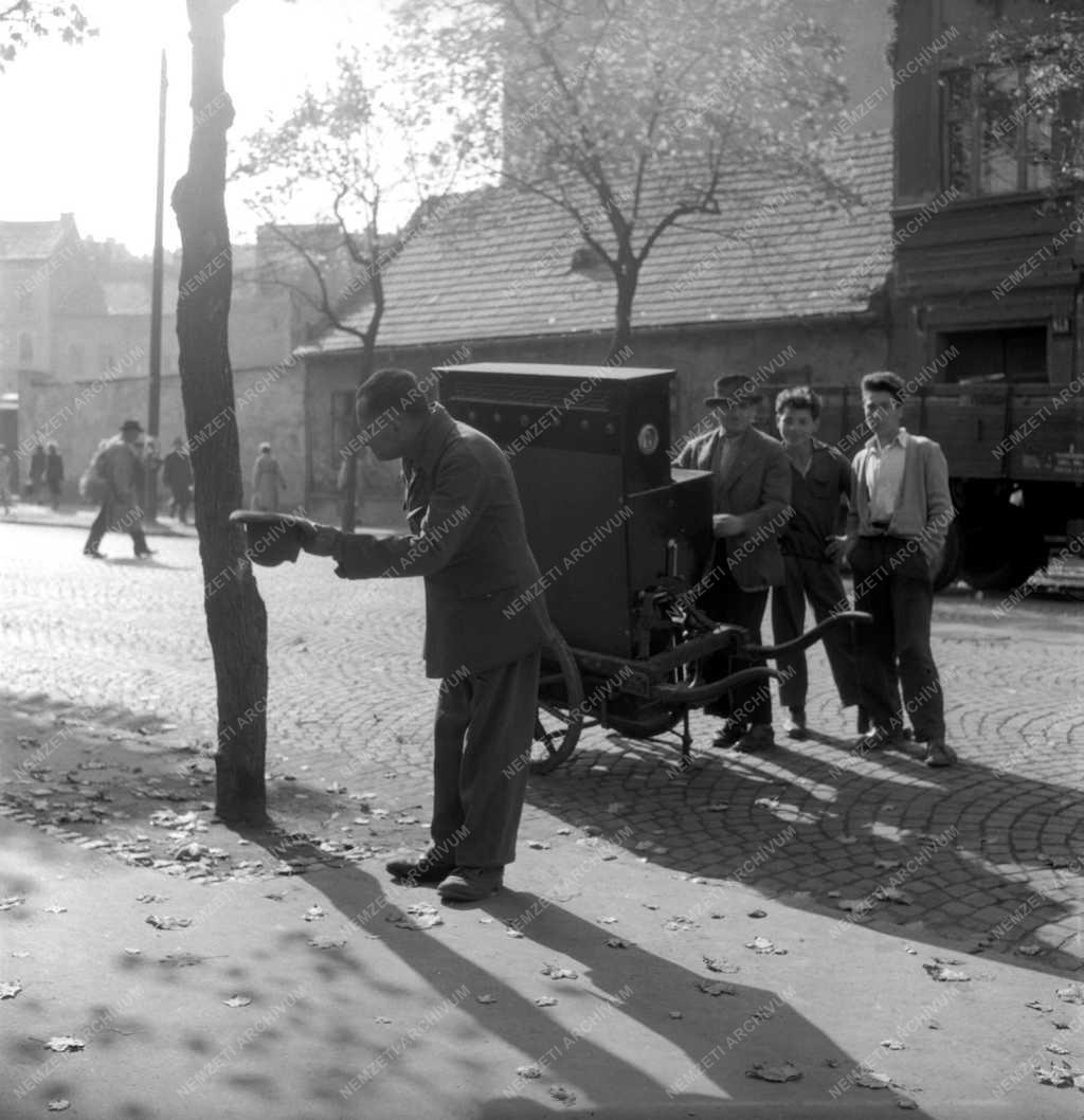 Budapesti képek - Piac - Verkli