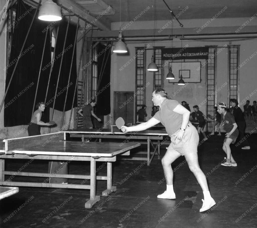 Sport - Válogatott asztaliteniszezők edzése