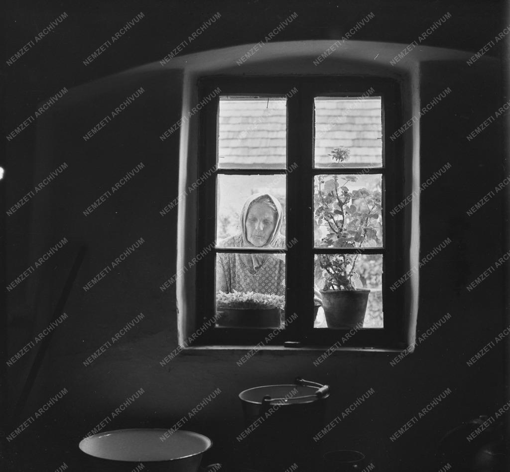 Művész portré - Nagy László szülőfalujában