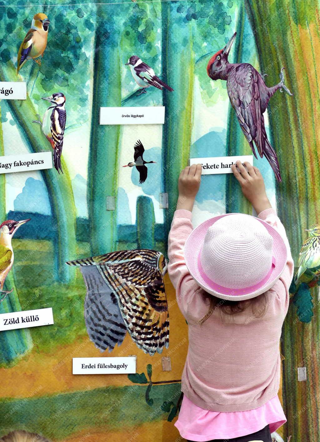 Természetvédelem - Madarak és fák napja a Sváb-hegyi Jókai-kertben