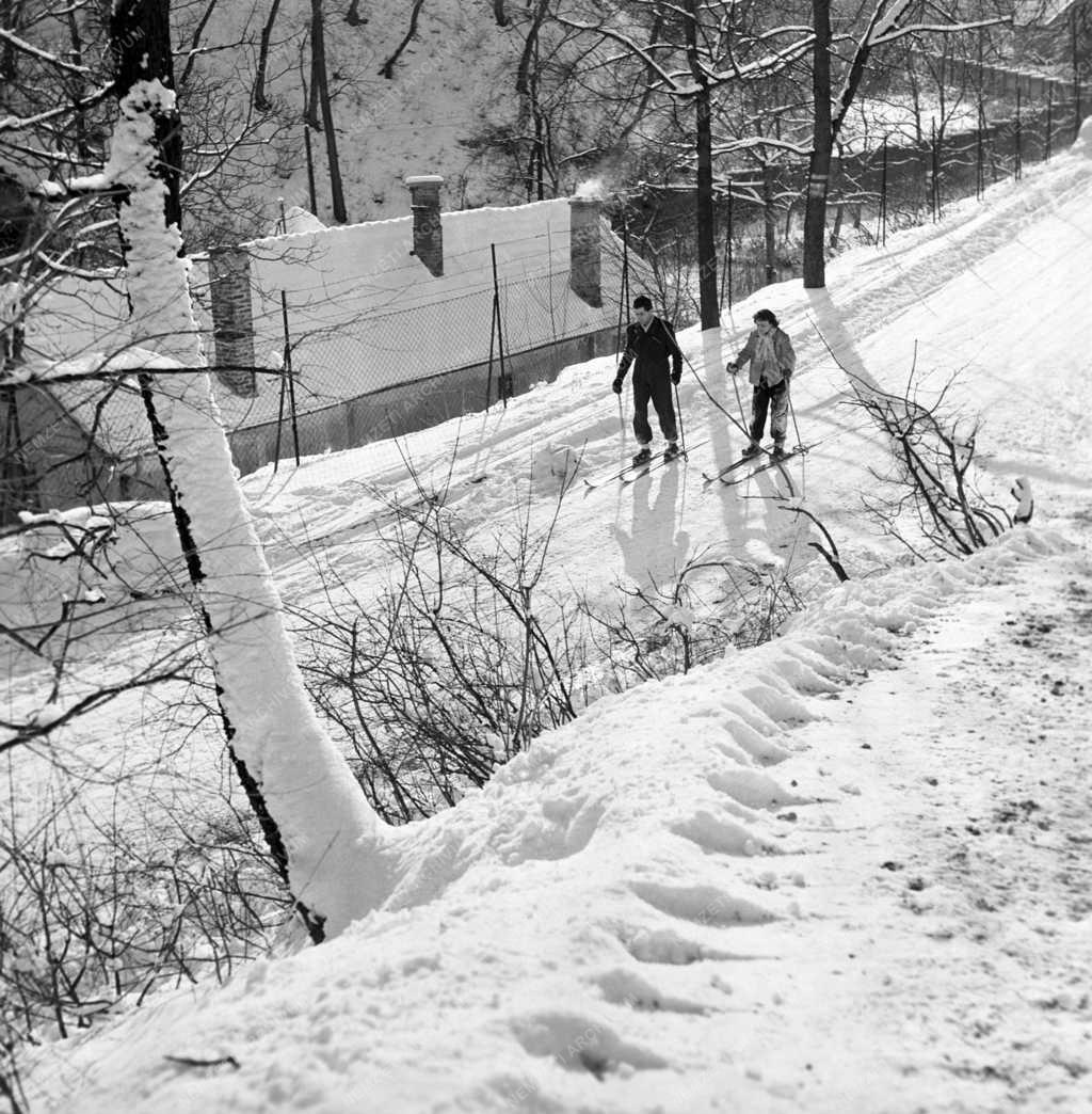 Szabadidő - Sport - Síelők a Szabadság-hegyen