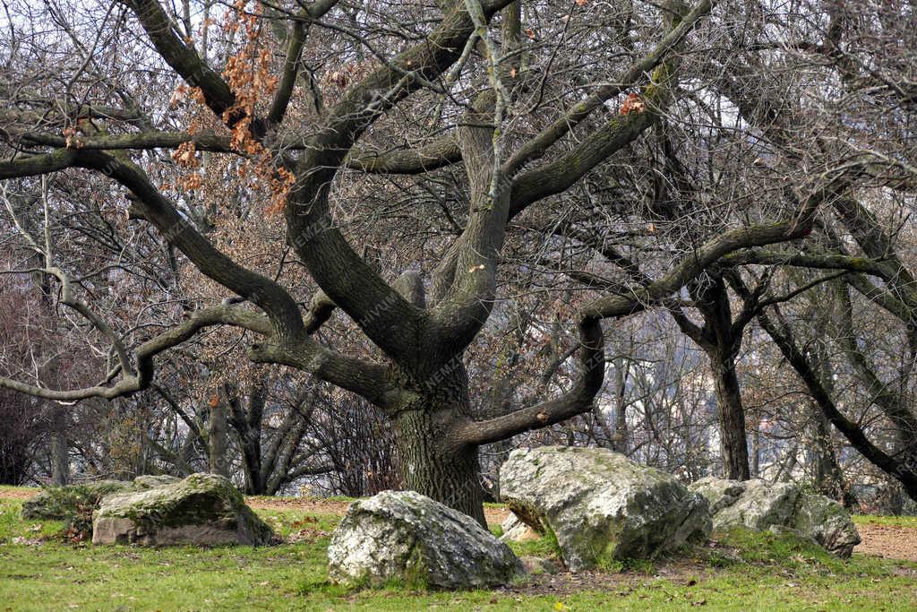 Városkép - Budapest - Parkrészlet a Gellért-hegyen