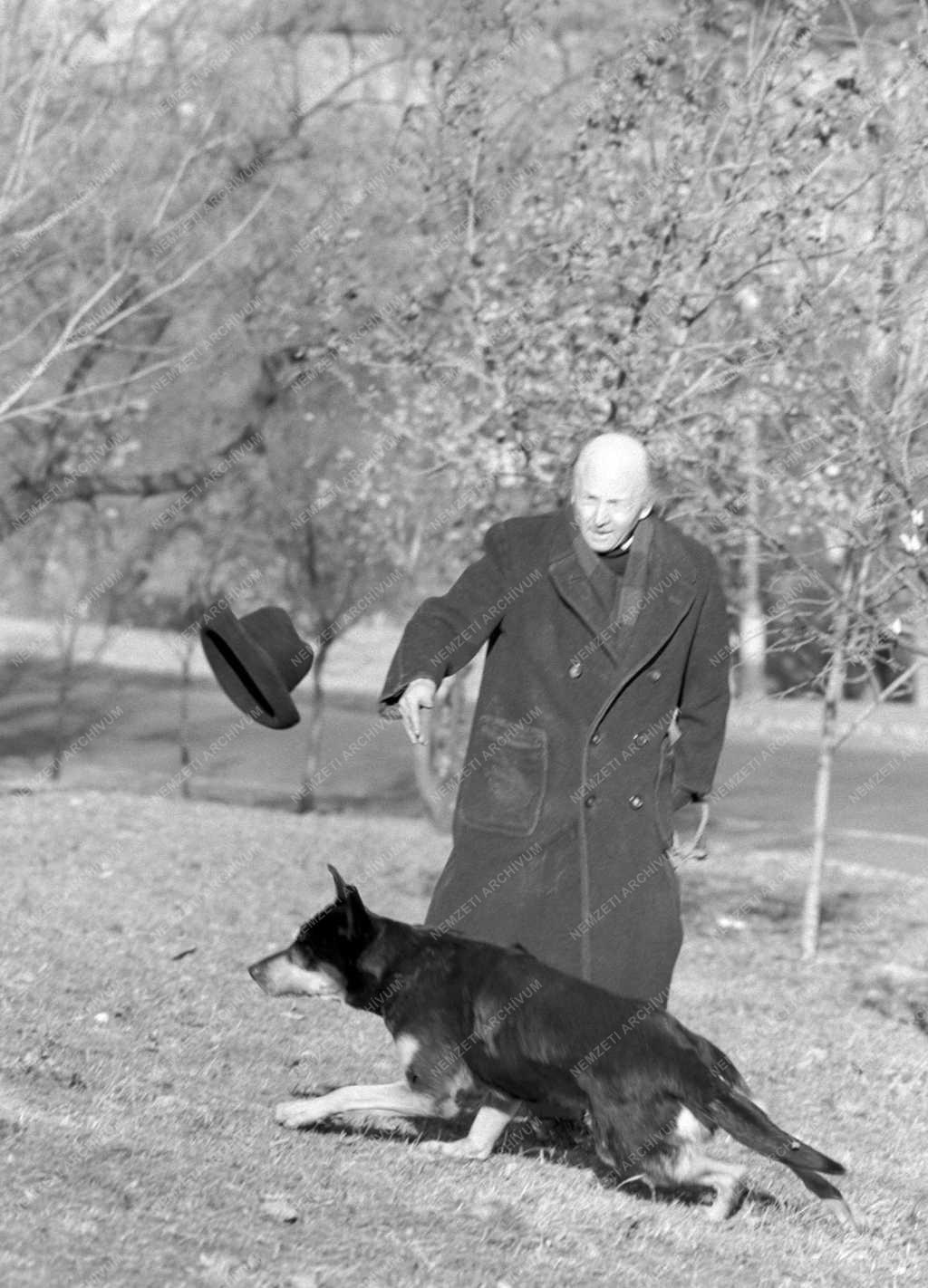 Időjárás - Szélvihar Budapesen