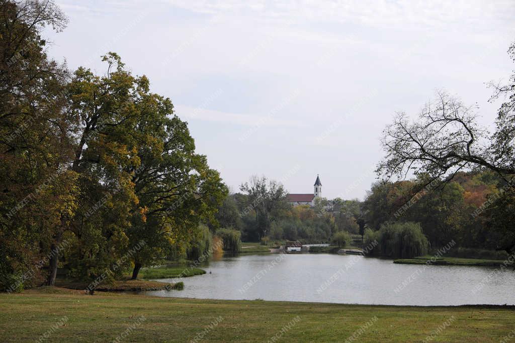 Természet - Dég - Kastély park