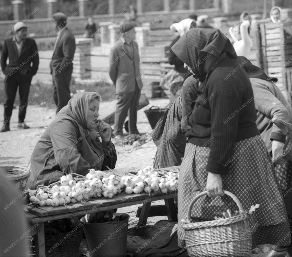 Életkép - Várpalotai képek