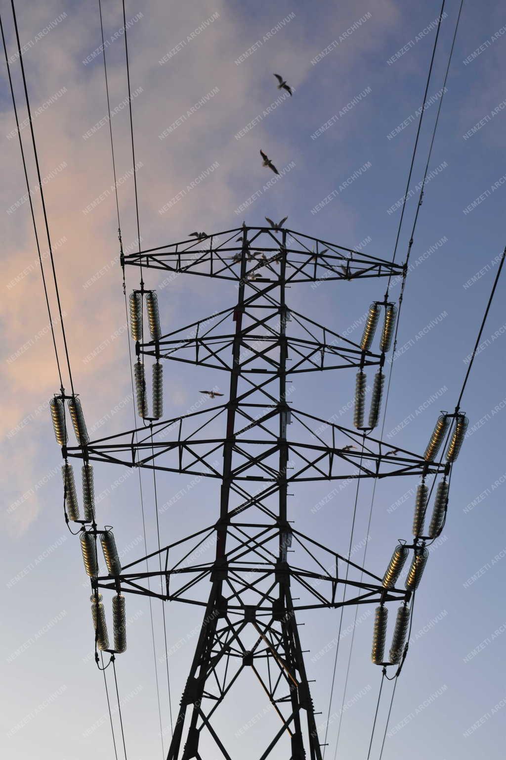 Energiaellátás - Budapest - Nagyfeszültségű távvezeték oszlop