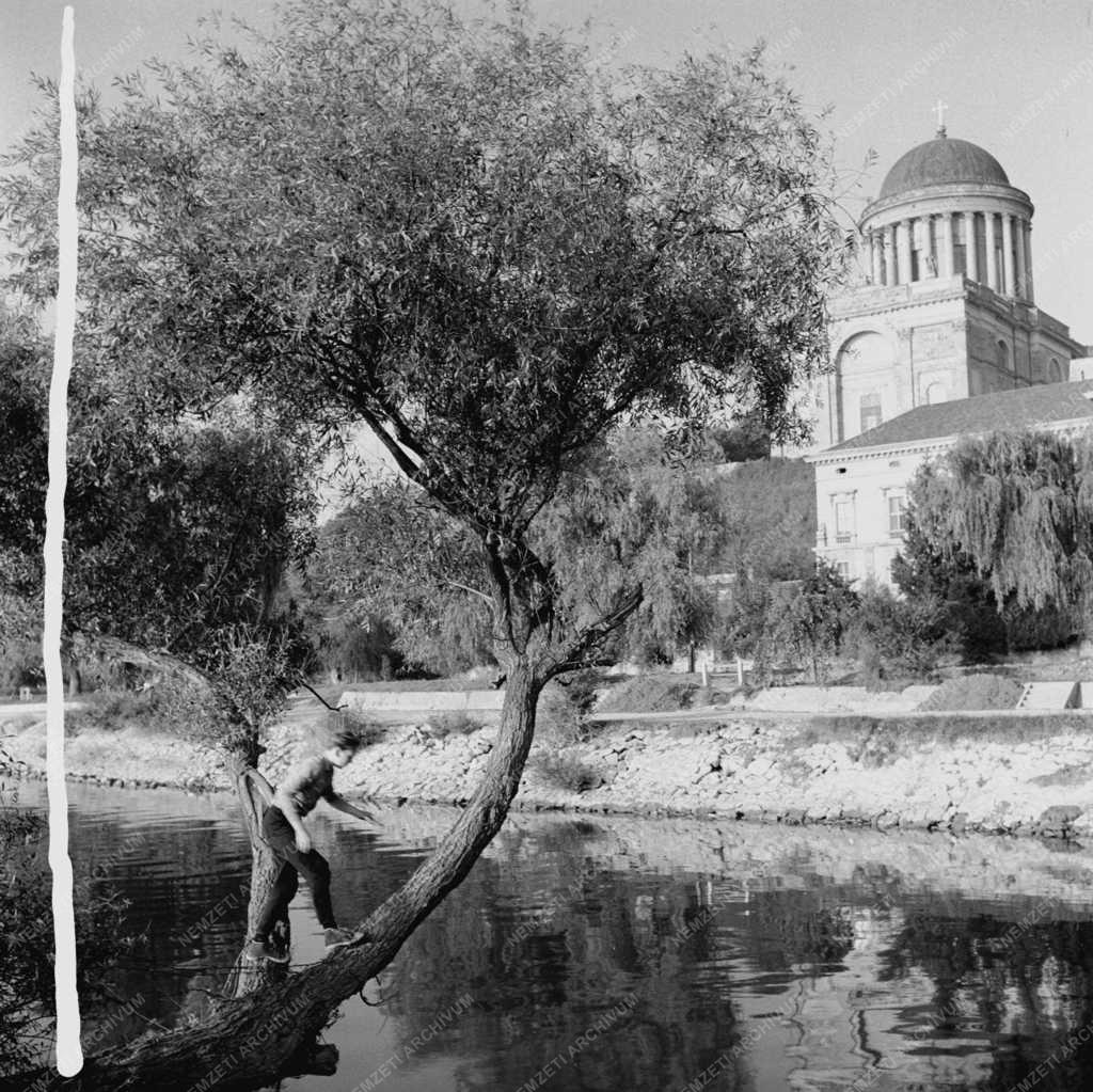 Városkép-életkép - Esztergomi képek
