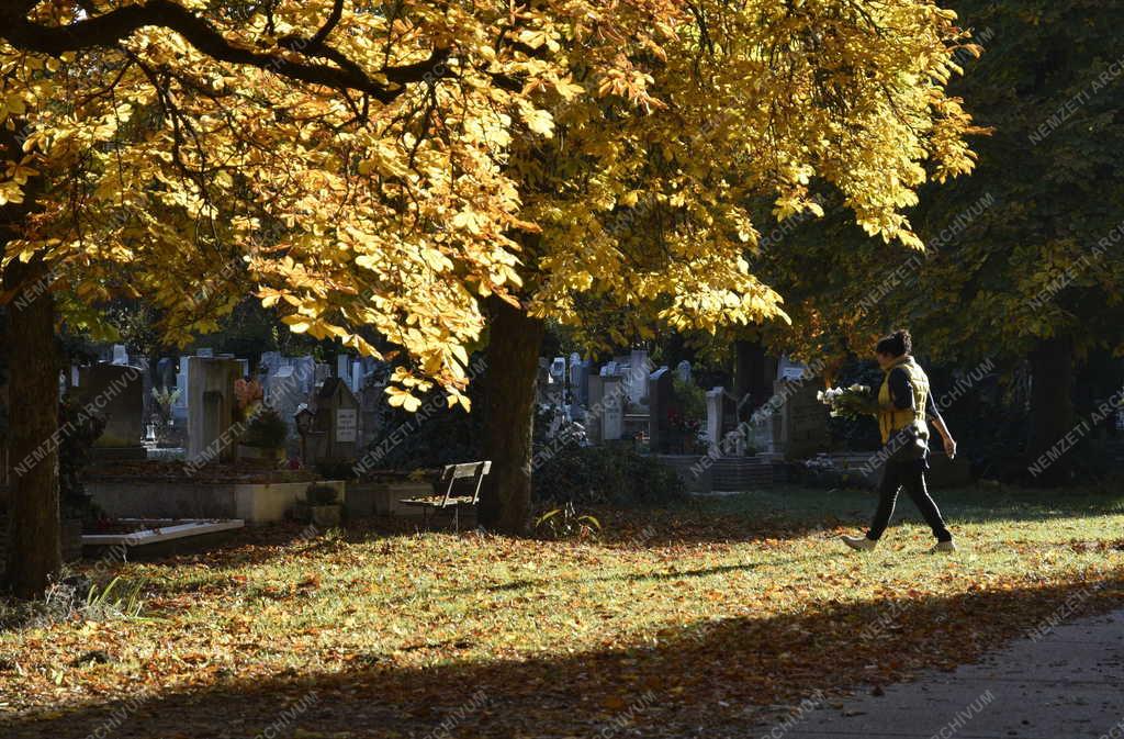 Kegyelet - Emlékezés - Mindenszentek és halottak napja előtt az Új Köztemető