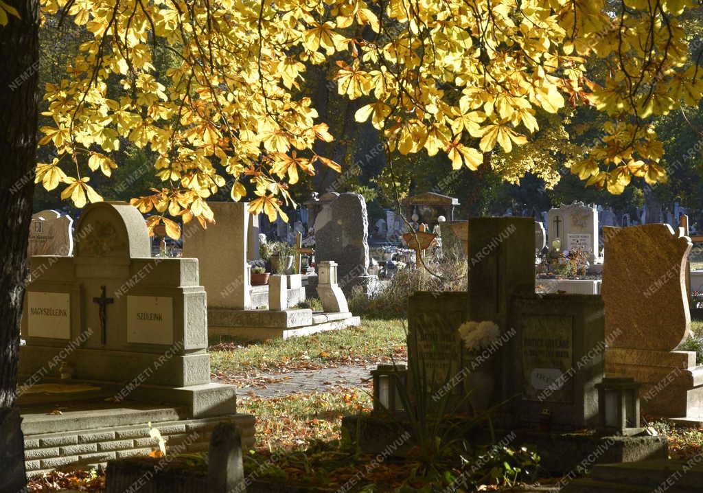 Kegyelet - Emlékezés - Mindenszentek és halottak napja előtt az Új Köztemető