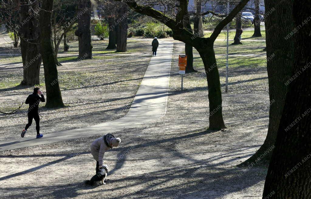 Egészségmegőrzés - Sétálók, sportoló a Városmajor parkban 