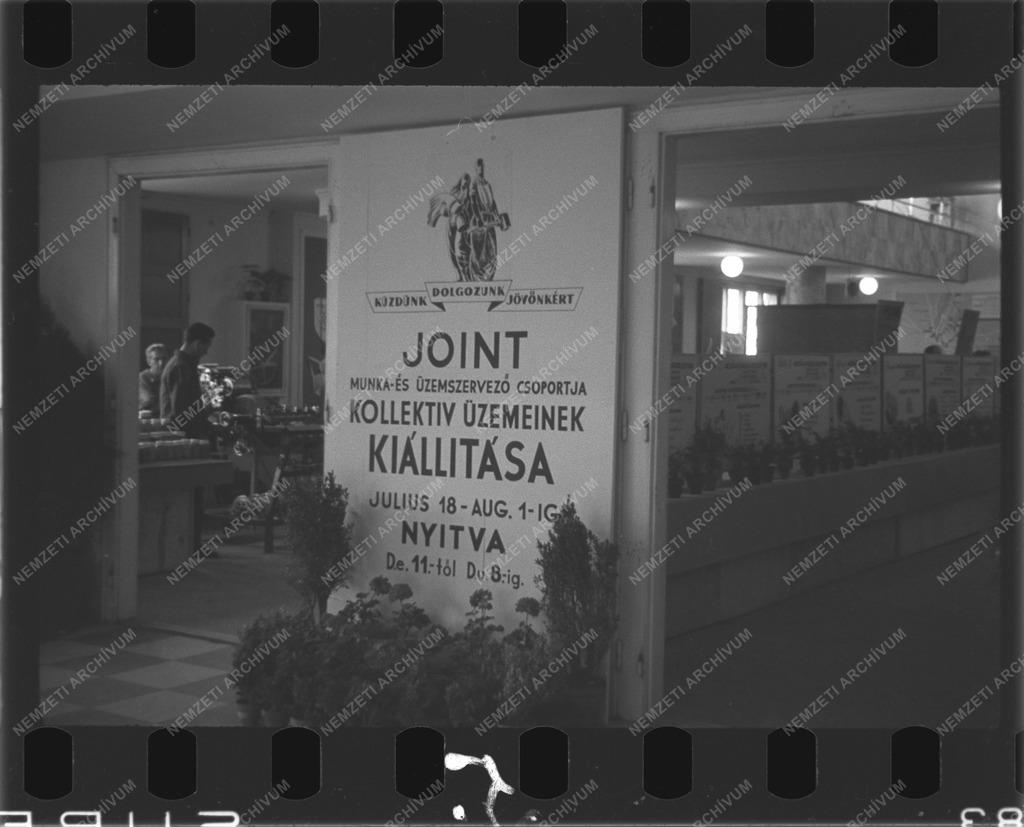 Joint kiállítás