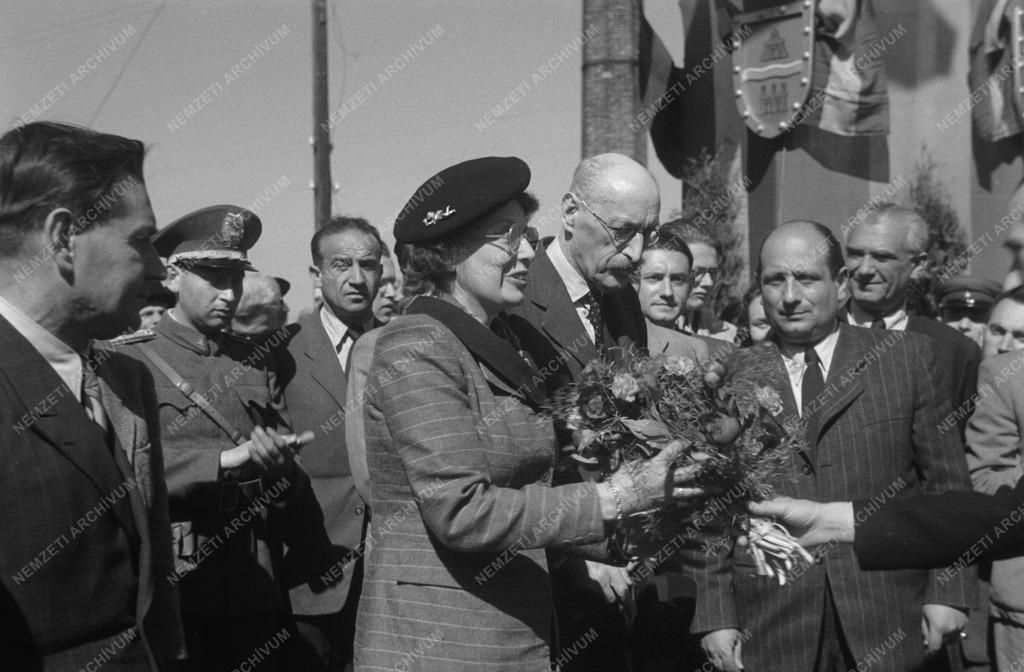 KÁROLYI M. ÉRKEZÉSE Pest határában