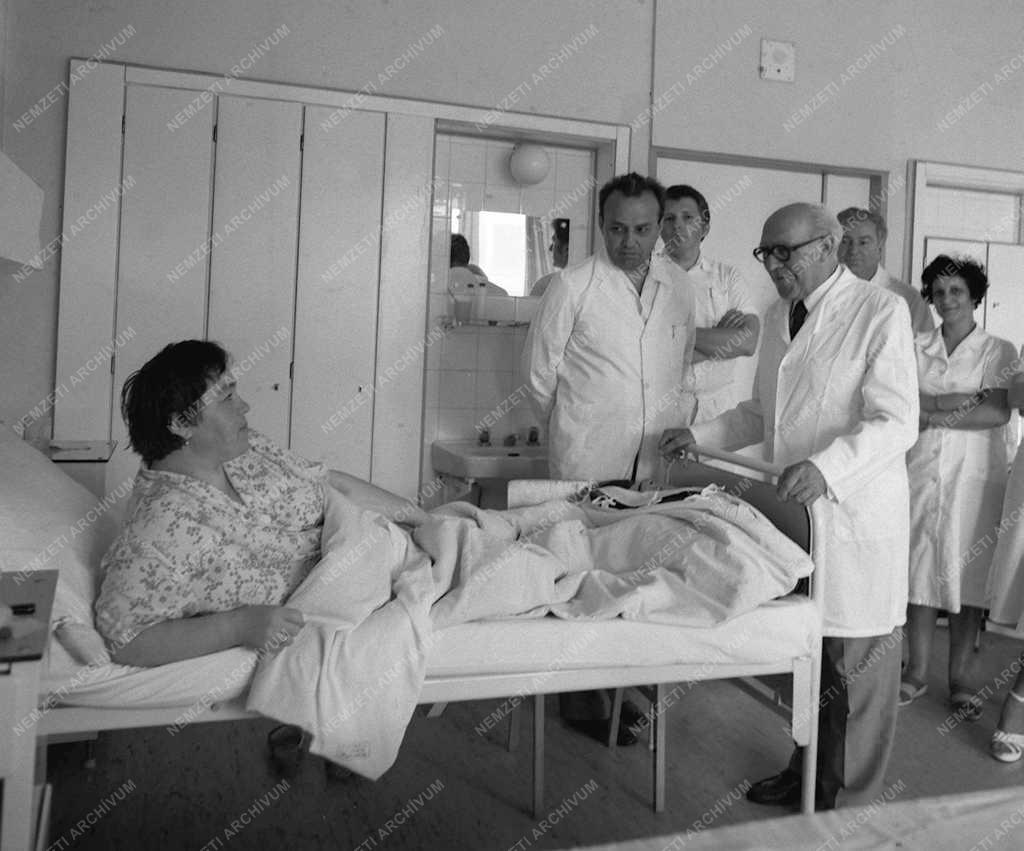 Babics Antal akadémikus