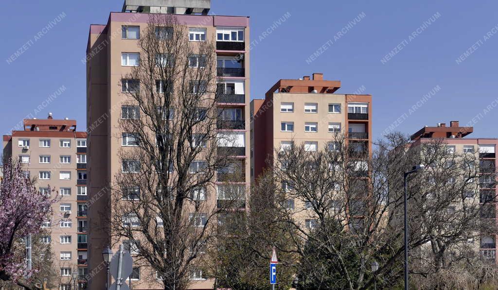 Városkép - Székesfehérvár - Panelházak