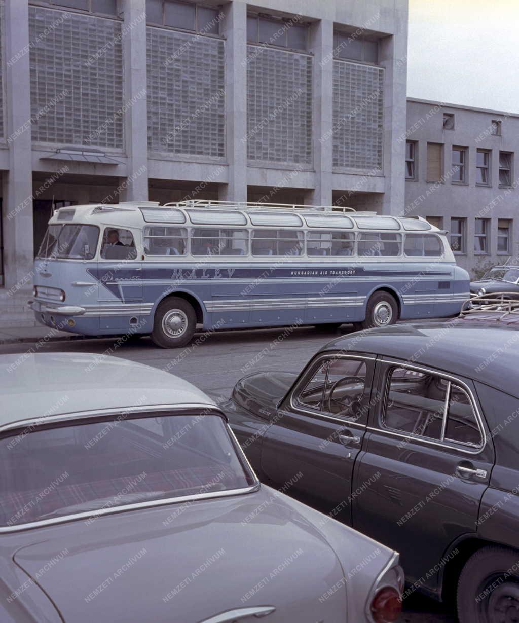 Közlekedés - Ikarus 55 autóbusz a MALÉV-nak 