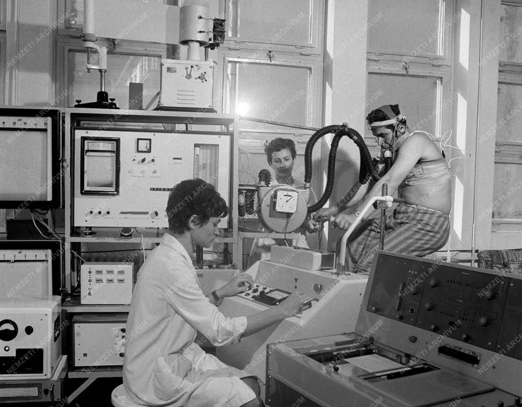 Egészségügy - Baranya megyei egészségügyi intézmények