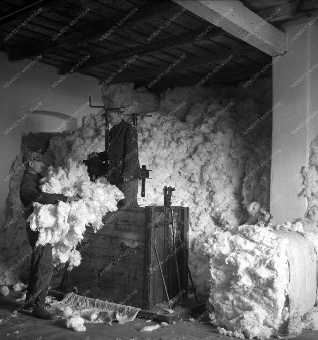 Ipar - Gyapotfeldolgozás