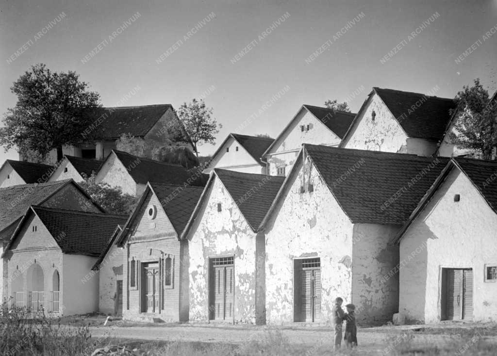 Villánykövesdi borospincék