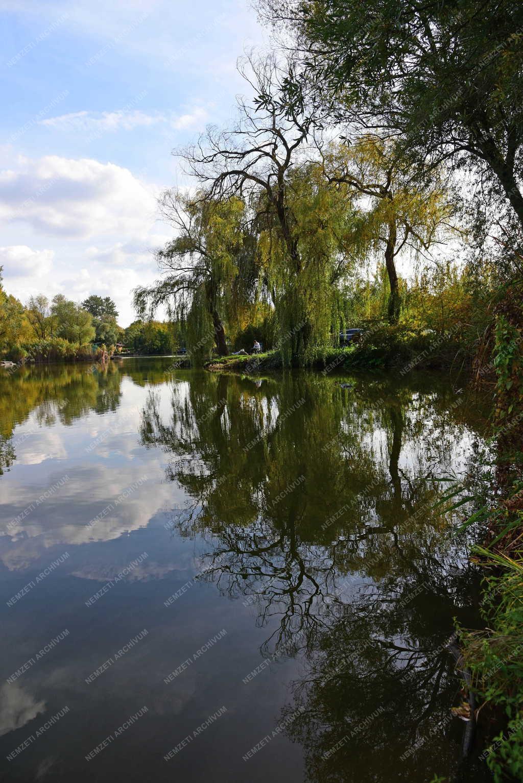 Tájkép - Kacsa-tó Pilisvörösvárnál