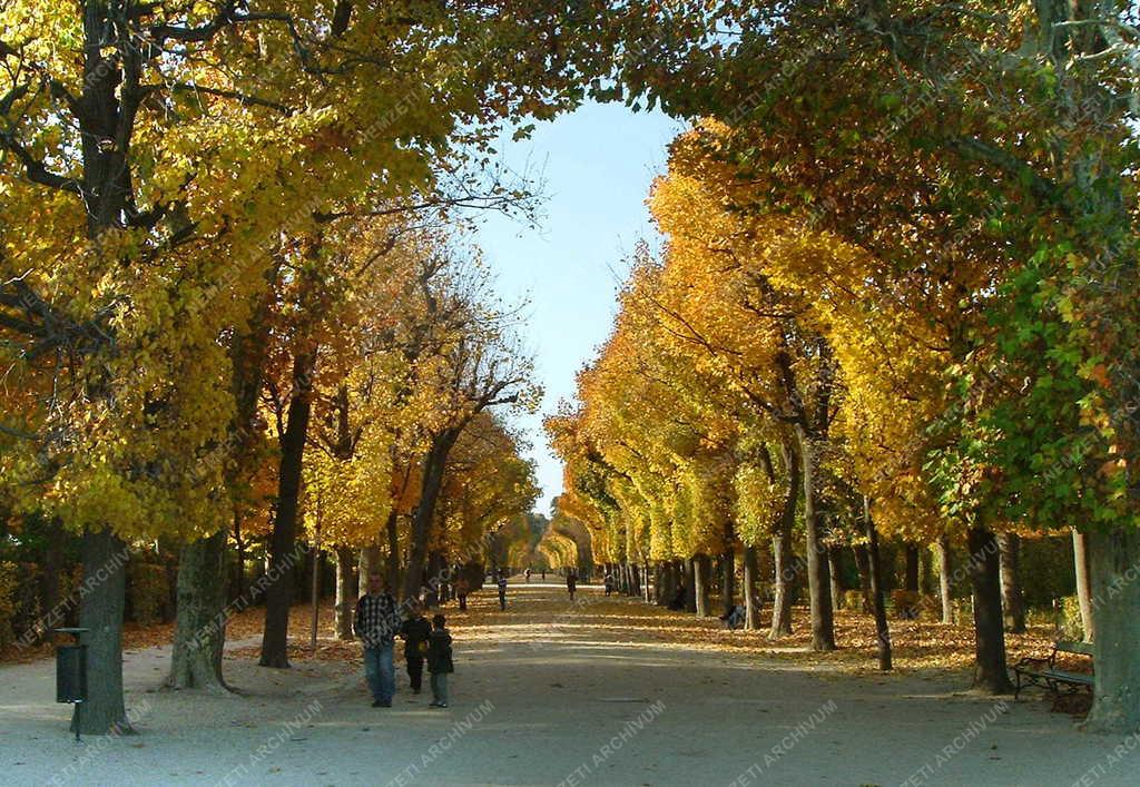 Ausztria - Bécs - A Schönbrunni kastély - Ősz a kastélyparkban