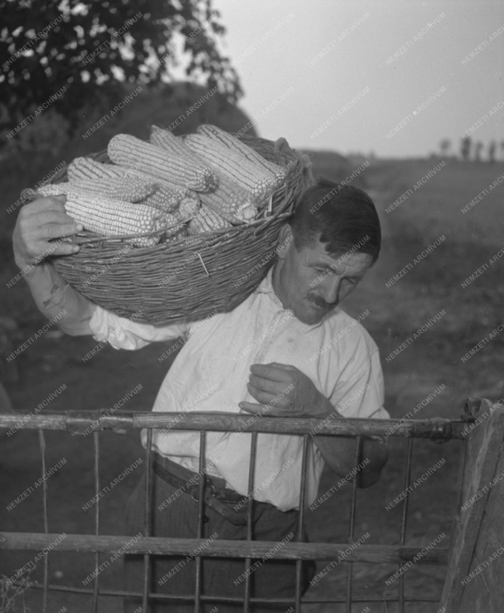 Veréb János mintagazda