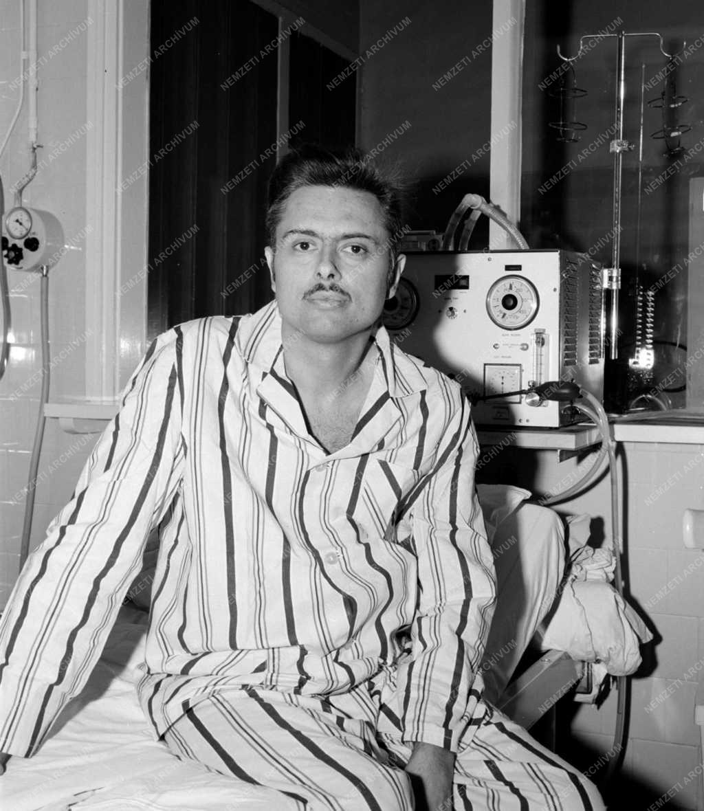 Egészségügy - Veseátültetés Miskolcon