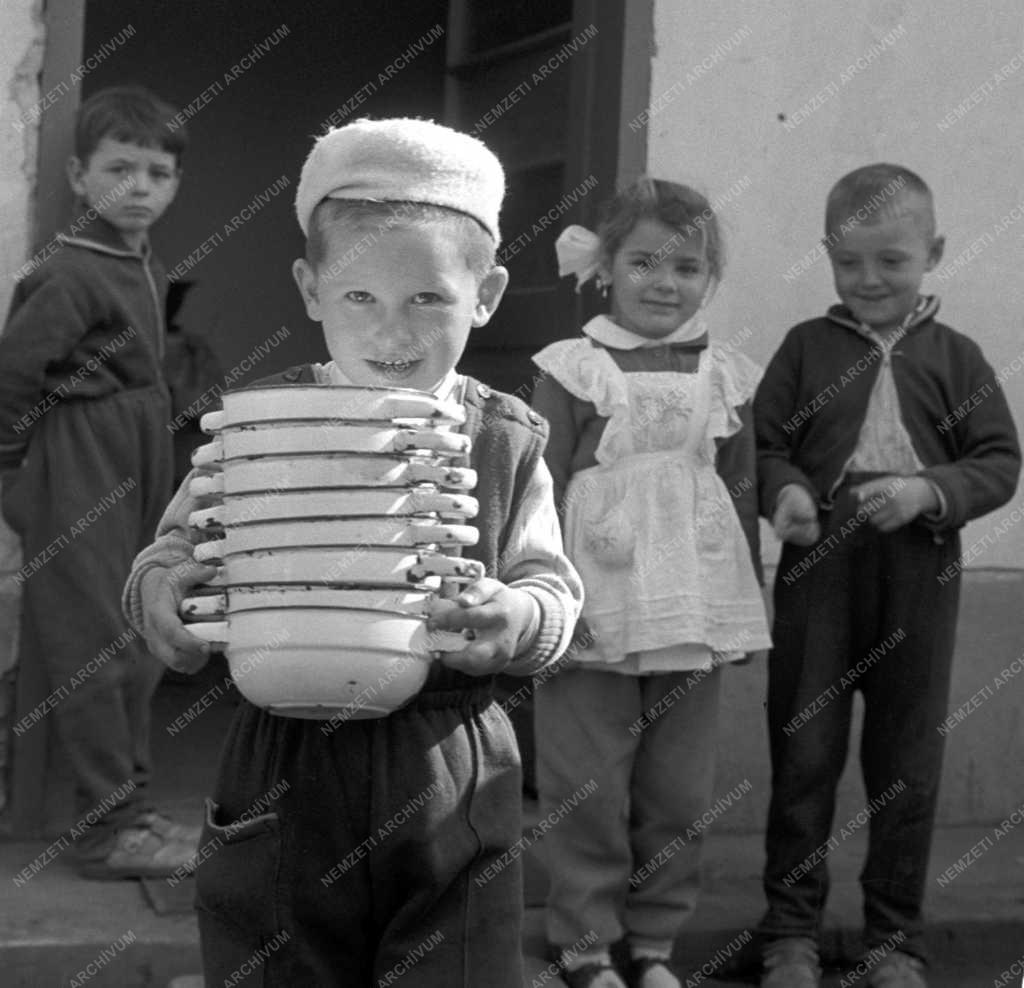 Mezőgazdaság - Fejlődik a sződi Haladás Termelőszövetkezet