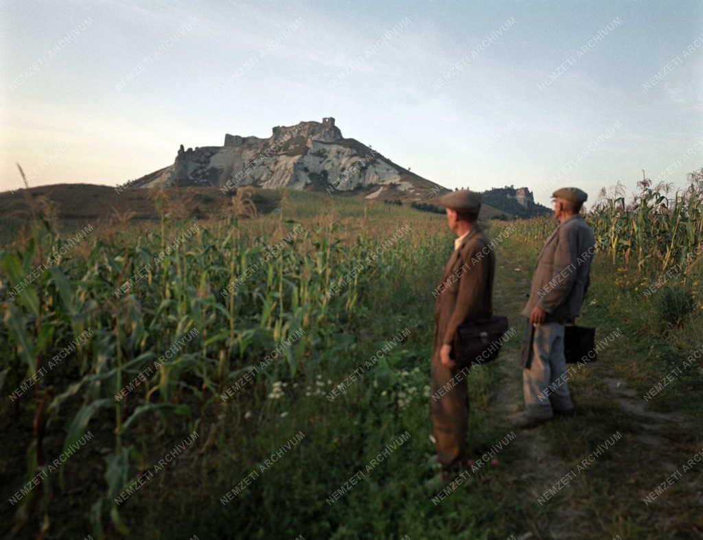 Városkép-életkép - A siroki vár