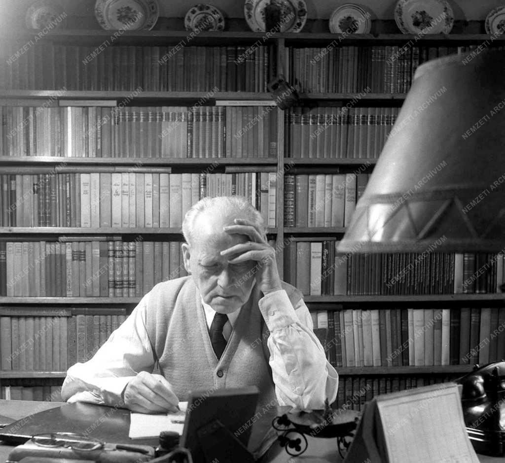 Kárpáti Aurél Kossuth-díjas író, kritikus