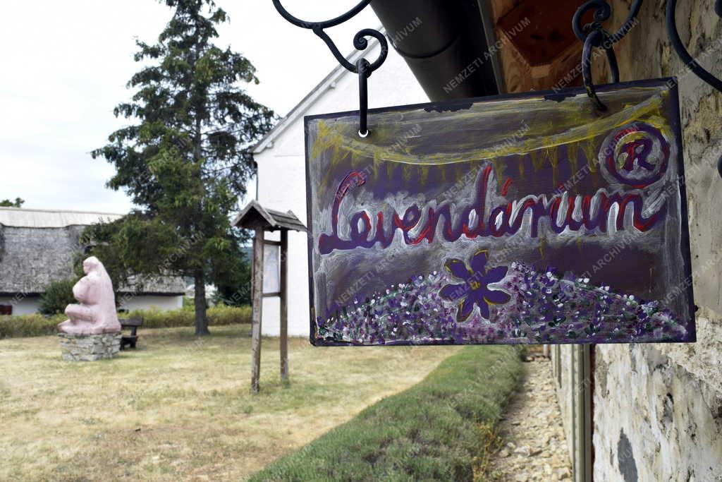Mezőgazdaság - Dörgicse - Levendárium 