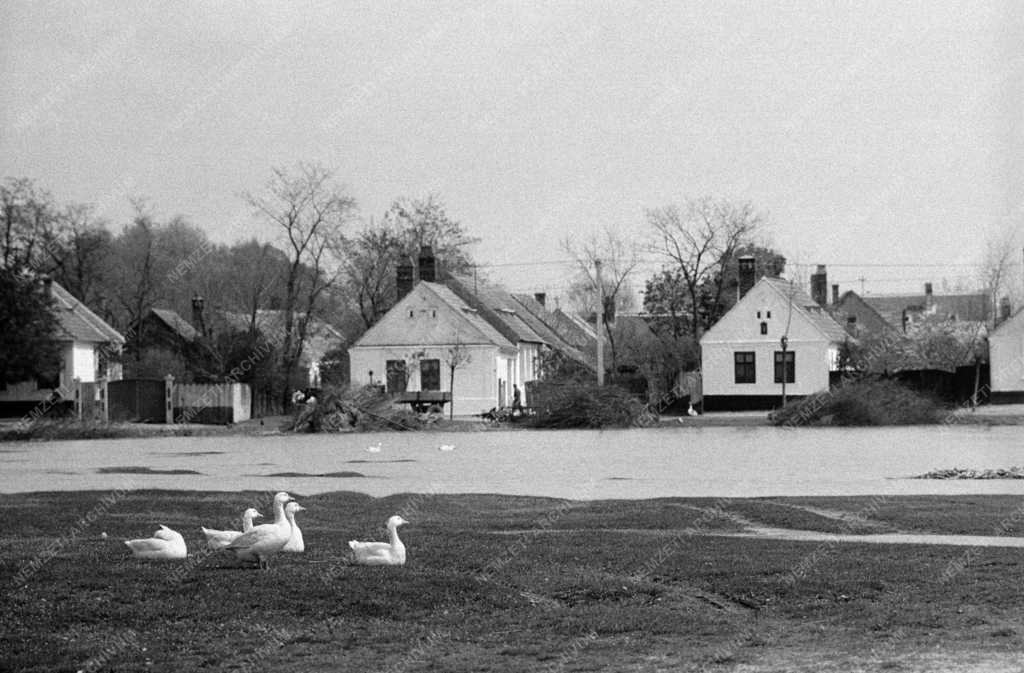 Katasztrófavédelem - Árvíz a Rába folyó mentén