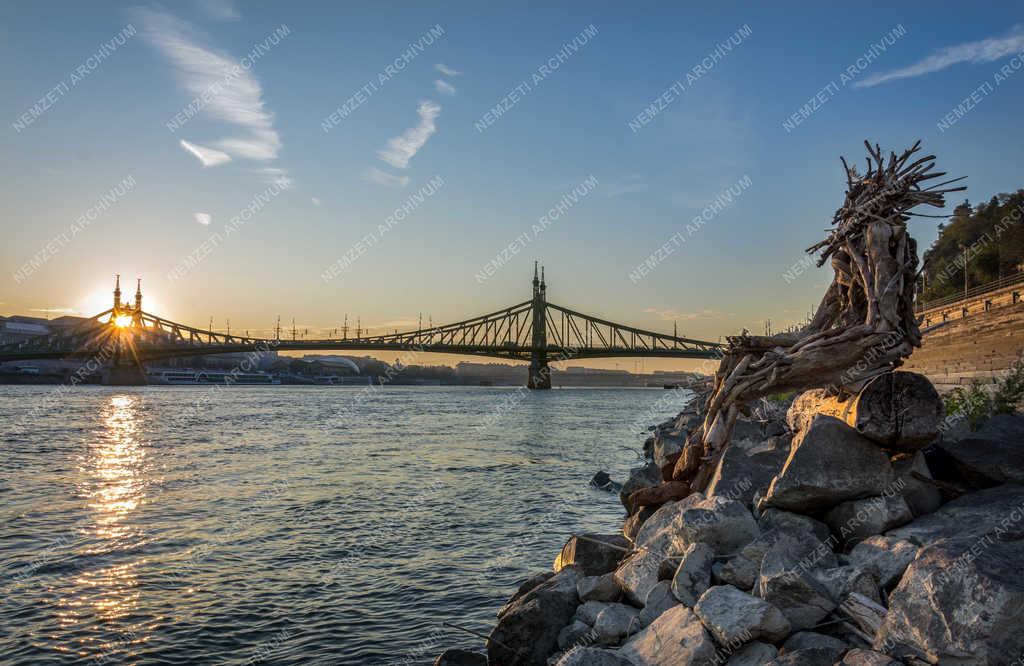 Városkép - Budapest - Uszadékfából készített szobor