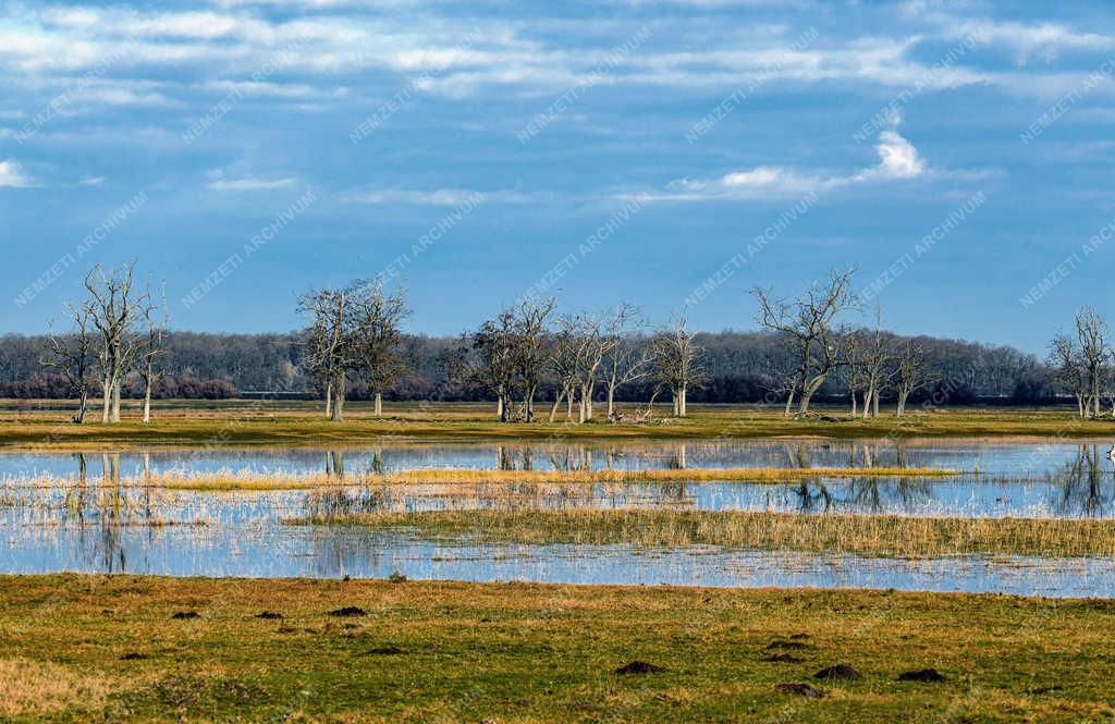 Természetvédelem - 50 éves a Hortobágyi Nemzeti Park