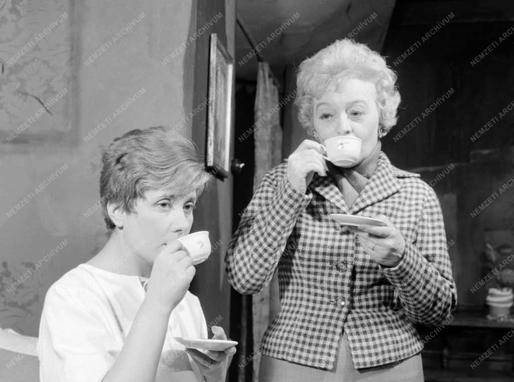 Kultúra – Színház – Shelagh Delaney: Egy csepp méz