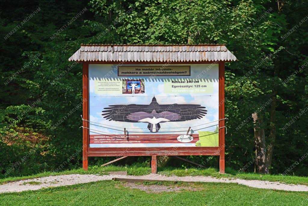Természet - Szilvásvárad - Szalajka-völgy