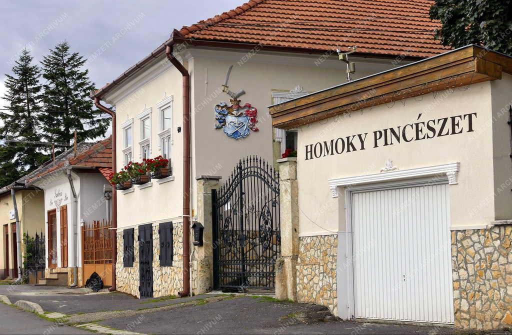 Település - Tállya - Homoky pincészet