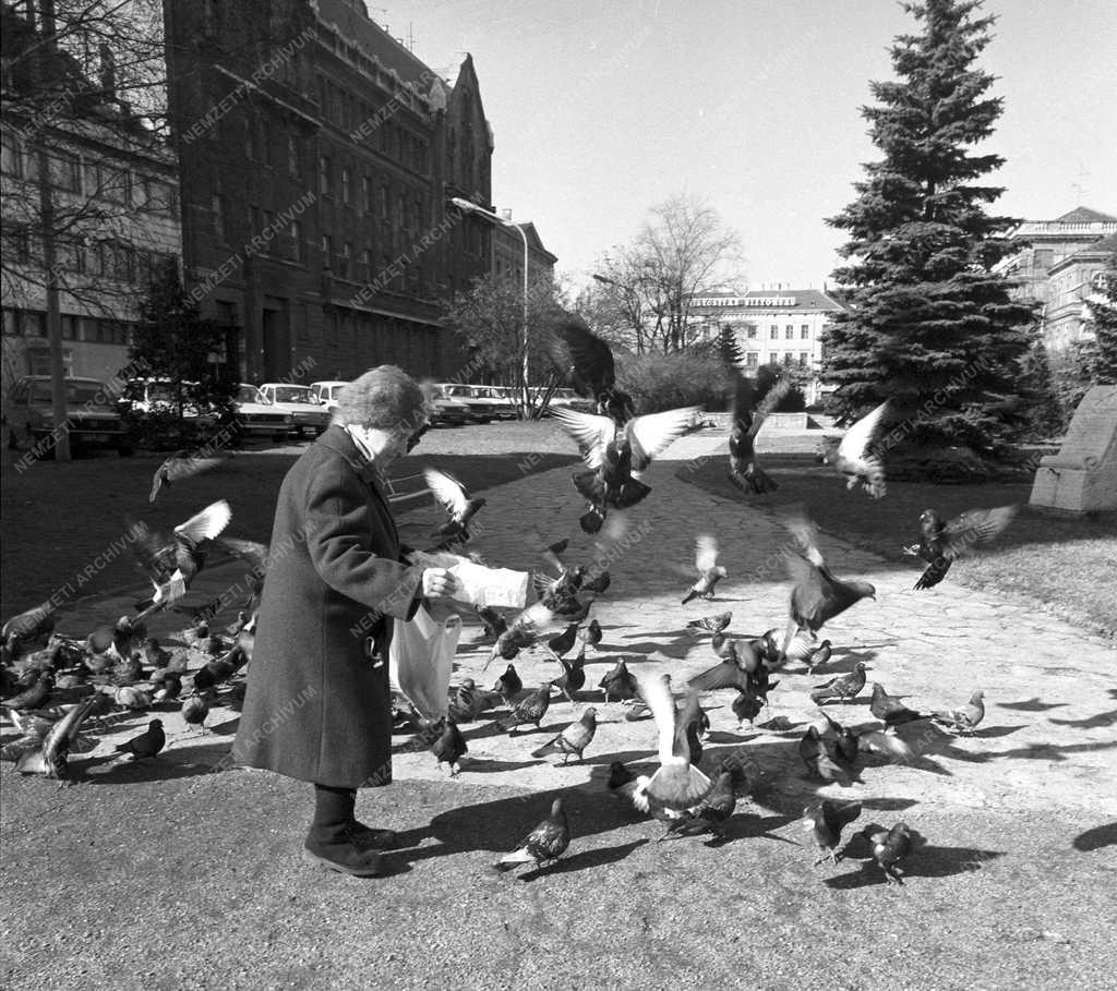 Turizmus – Sopron az idegenforgalmi szezon előtt