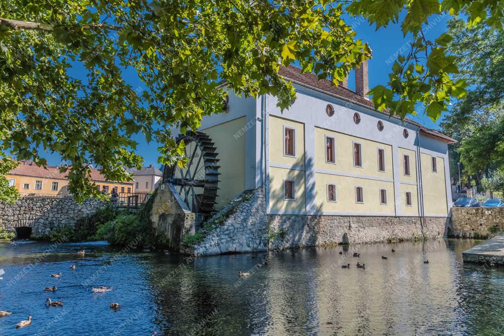 Vendéglátás - Tapolca - Vízimalom étterem a Malom-tó mellett 