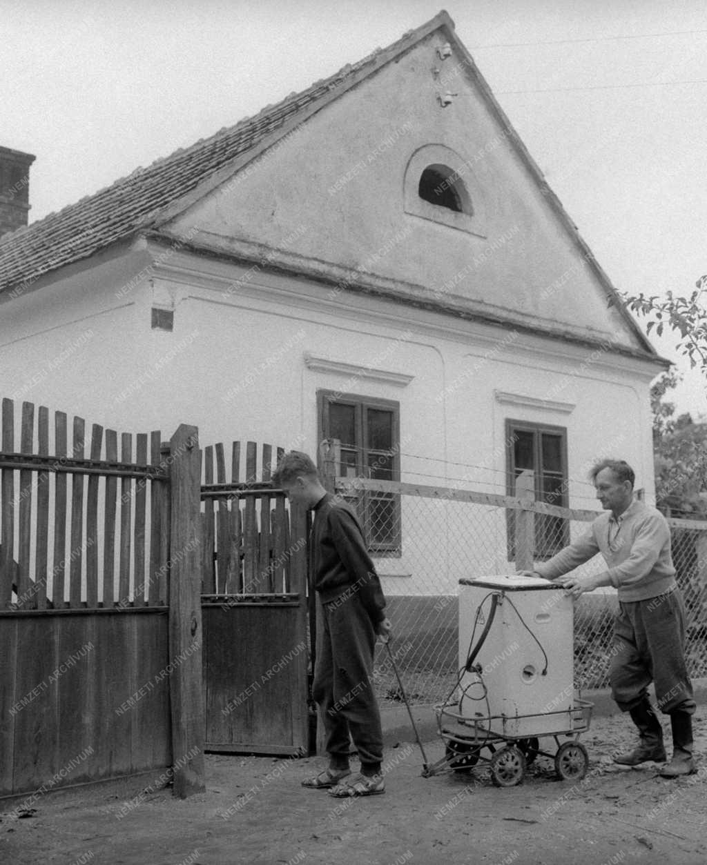 Életmód - Mezőgazdaság - A kemenesmagasi Termelőszövetkezet