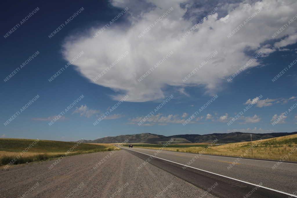 Tájkép - Yellowstone - Országút a Yellowstone Nemzeti Parkban