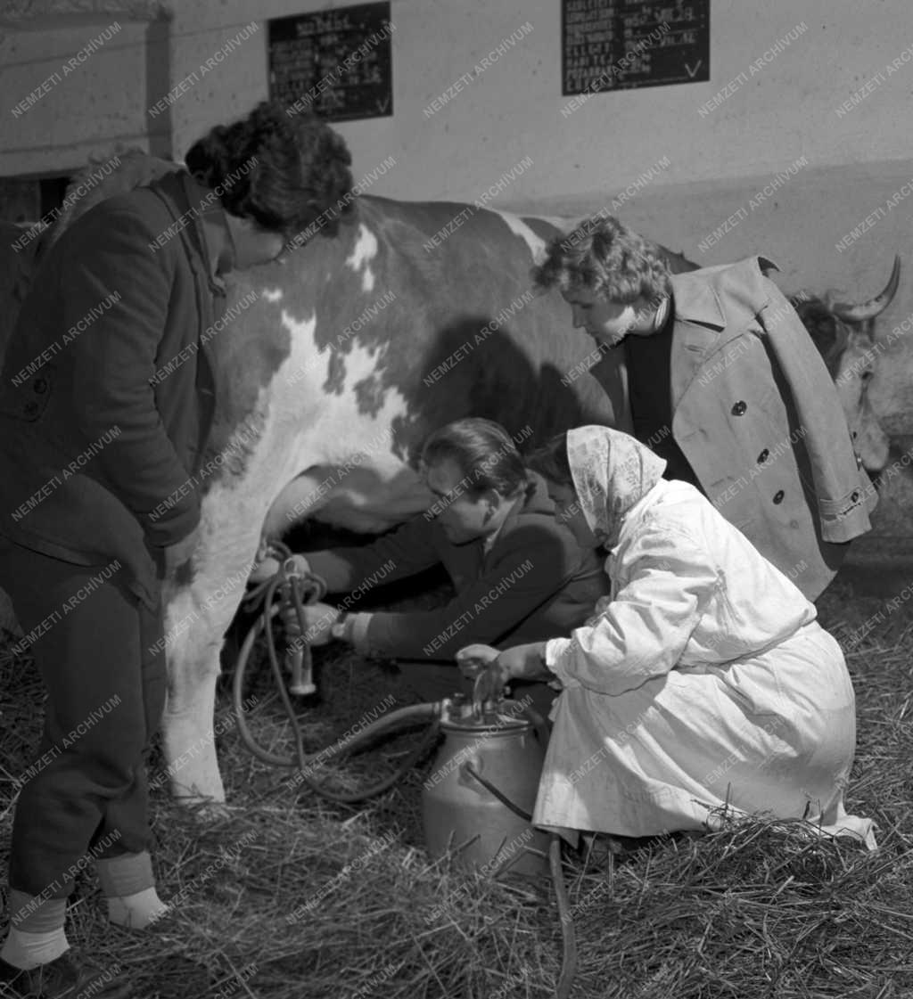 Oktatás - Agrártudományi Egyetem Továbbképző Intézete