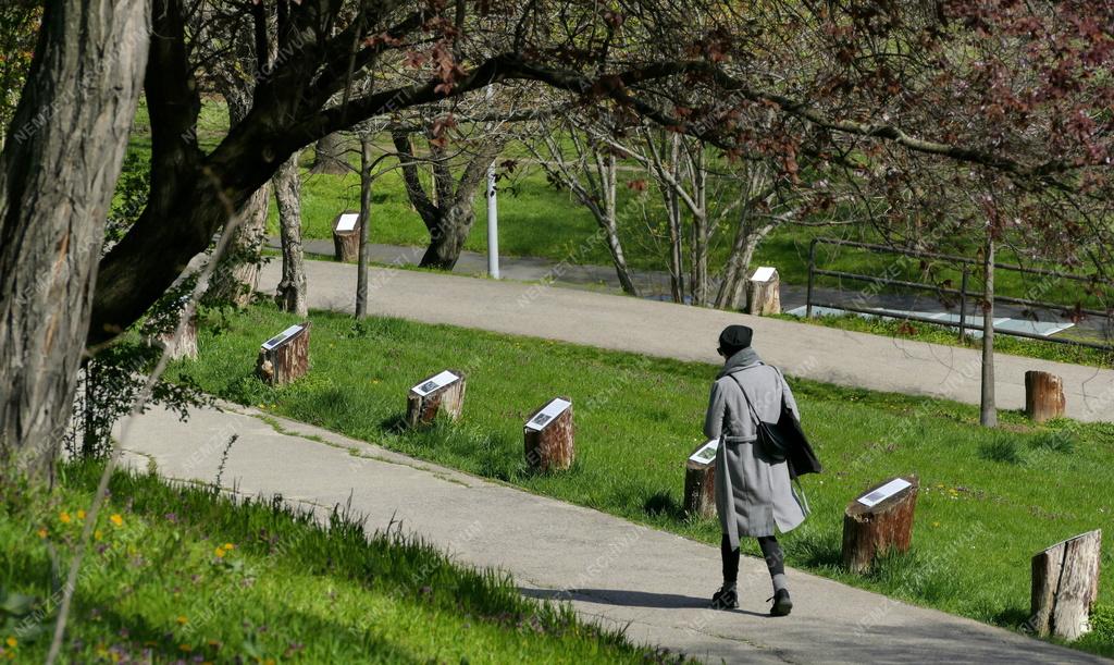 Városkép - Budapest - Tabán park